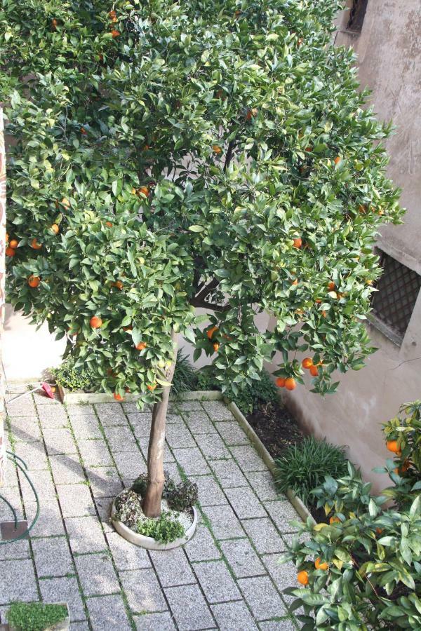 Wellnessinnrome Shortlet Buitenkant foto